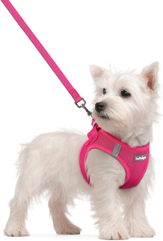 Dog Harness Small Sized and Leash Set, Step in Soft Light Puppy Vest, Breathable Mesh Pet Harness, Reflective for Safe Easy Walking, Rose Red S
