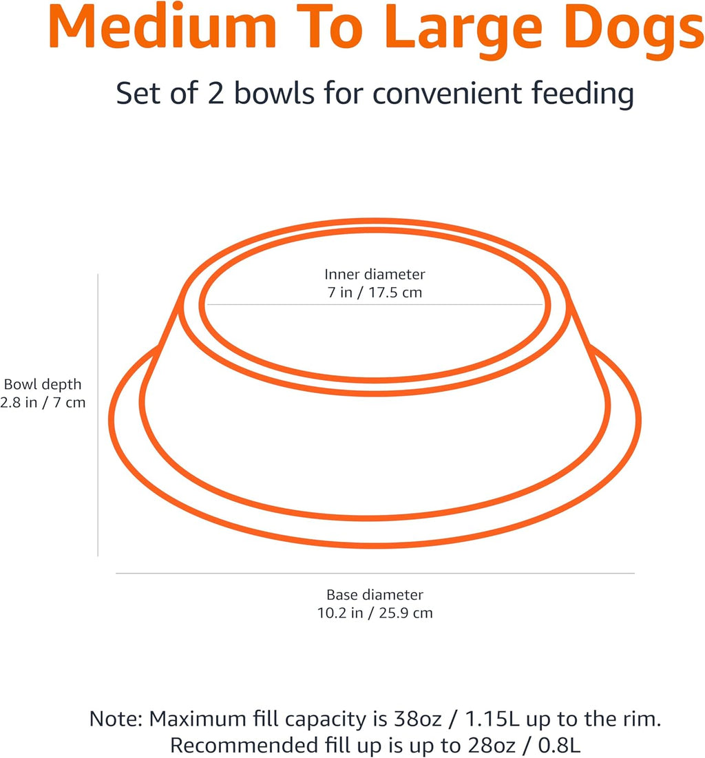 Stainless Steel Non-Skid Dog Water and Food Bowls, Dishwasher Safe, Rust Resistant, 38Oz Capacity, 10 X 2.8 Inches, 2-Pack