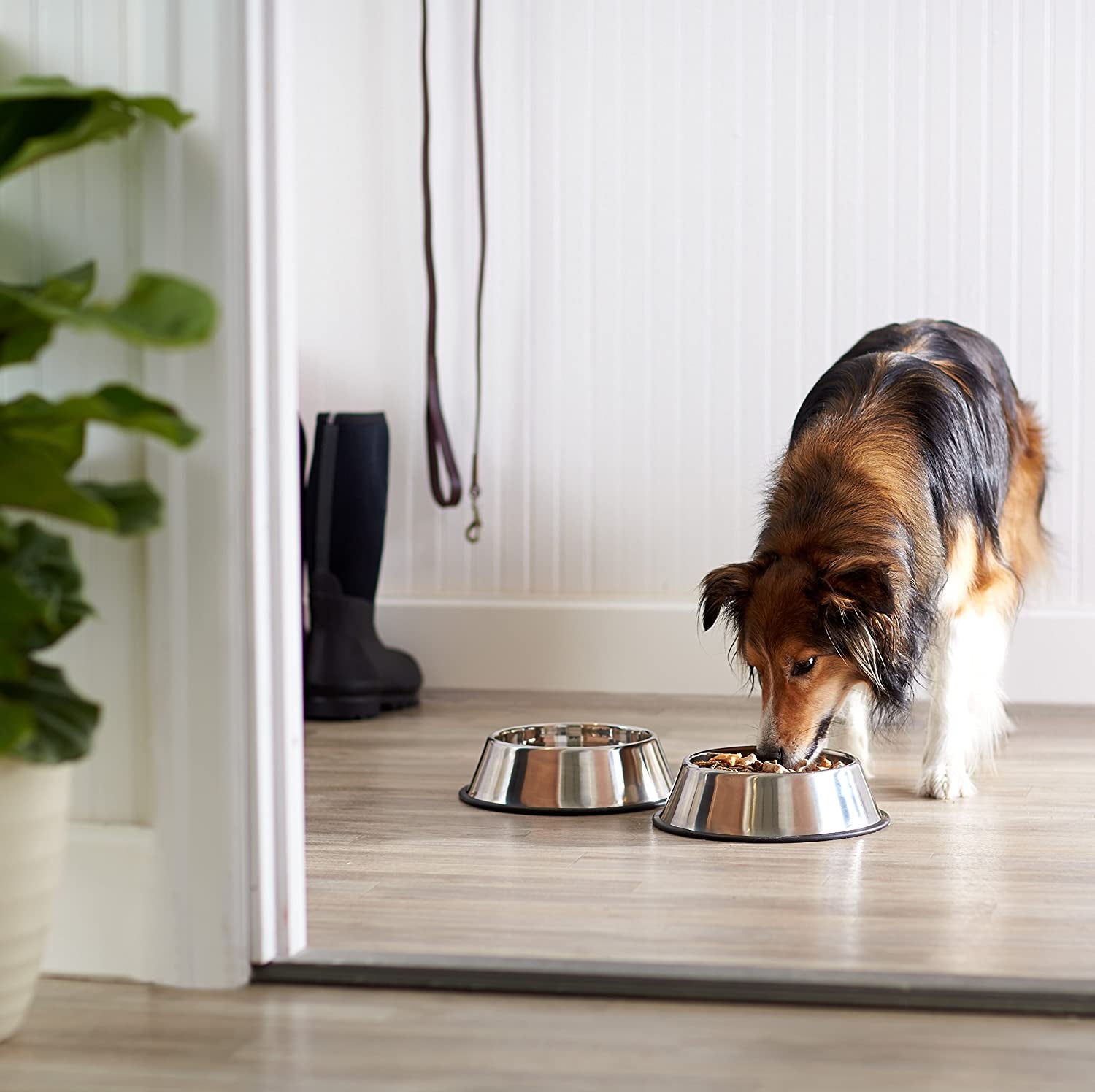 Stainless Steel Non-Skid Dog Water and Food Bowls, Dishwasher Safe, Rust Resistant, 38Oz Capacity, 10 X 2.8 Inches, 2-Pack