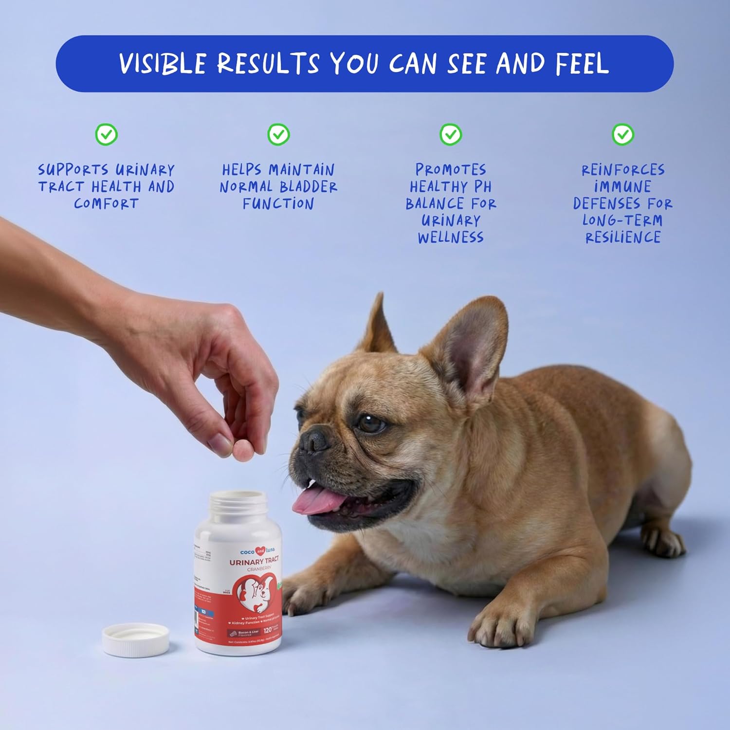 Cranberry Chewable Tablets for Dogs - 120 Count for Urinary Tract Health, Bladder Support, and UTI Prevention